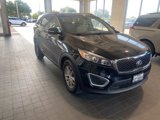 Used 2016 Kia Sorento LX image 3