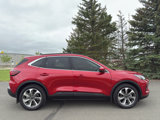 Used 2023 Ford Escape Platinum image 6