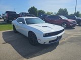 Used 2019 Dodge Challenger SXT w/ Blacktop Package image 3