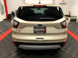 Used 2017 Ford Escape Titanium image 3