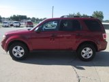 Used 2011 Ford Escape XLT w/ Convenience Group image 4