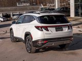 Used 2022 Hyundai Tucson Limited w/ Cargo Package image 4