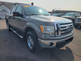 Used 2010 Ford F150 XLT image 3