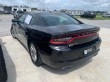 Used 2019 Dodge Charger SXT image 2