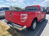 Used 2014 Ford F150 XLT w/ Equipment Group 301A Mid image 4