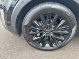 Used 2020 Kia Telluride SX image 6