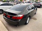 Used 2014 Honda Accord EX-L image 5