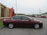 Used 2013 Honda Accord EX-L image 2