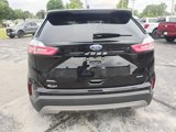 Certified 2024 Ford Edge SEL image 4