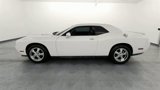 Used 2010 Dodge Challenger SE image 5