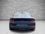 Used 2024 Ford Mustang GT Premium image 6