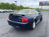 Used 2003 Ford Mustang Convertible image 5