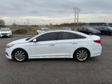 Used 2016 Hyundai Sonata Limited w/ Option Group 04 image 4