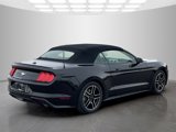 Used 2022 Ford Mustang Premium image 5
