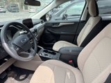 Used 2022 Ford Escape SE w/ SE Sport Appearance Package image 3