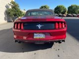 Used 2017 Ford Mustang Convertible w/ Equipment Group 051A image 5