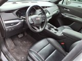 Used 2020 Cadillac XT4 Premium Luxury w/ Driver Awareness Package image 5