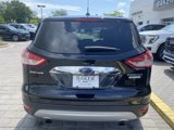 Used 2014 Ford Escape Titanium image 2
