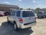 Used 2011 Ford Escape XLT image 5