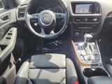 Used 2013 Audi Q5 2.0T Premium Plus image 4