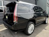 Used 2015 Cadillac Escalade Platinum image 6
