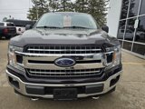 Used 2019 Ford F150 XLT image 3