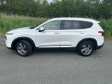 Used 2022 Hyundai Santa Fe SEL image 2