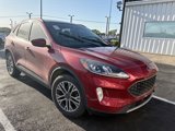 Used 2021 Ford Escape SEL image 2