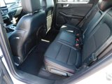 New 2025 Ford Escape ST-Line w/ Tech Pack #1 image 5