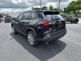 Used 2022 Toyota RAV4 XLE Premium image 5
