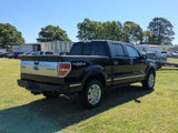 Used 2014 Ford F150 Platinum image 3