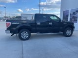 Used 2014 Ford F150 XLT w/ Equipment Group 302A Luxury image 4