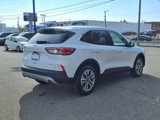 Certified 2022 Ford Escape SEL image 4