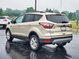Used 2018 Ford Escape SE w/ SE Sync 3 Package image 4