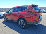 Certified 2022 Honda CR-V EX image 4
