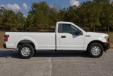 Used 2019 Ford F150 XL w/ Equipment Group 101A Mid image 5