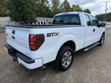 Used 2014 Ford F150 STX w/ Equipment Group 201A Mid image 5
