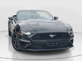 Used 2022 Ford Mustang Premium image 3