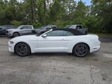 Used 2022 Ford Mustang Premium w/ Equipment Group 201A image 3