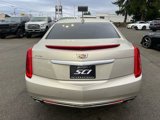 Used 2016 Cadillac XTS Luxury image 5