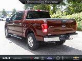 Used 2017 Ford F150 XLT w/ Equipment Group 301A Mid image 5