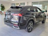 Used 2018 Lexus NX 300h AWD image 6