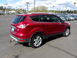 Used 2014 Ford Escape Titanium image 5