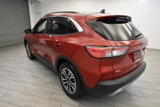 Used 2020 Ford Escape SEL image 3