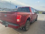 Used 2016 Ford F150 XLT w/ Equipment Group 302A Luxury image 5