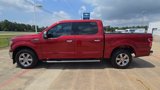 Used 2019 Ford F150 XLT w/ Equipment Group 302A Luxury image 5