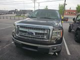 Used 2013 Ford F150 XLT w/ Luxury Equipment Group image 2