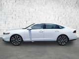 Used 2024 Honda Accord Touring image 2