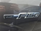 Used 2013 Ford F150 XLT w/ XLT Chrome Pkg image 4