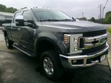 Used 2019 Ford F250 XLT w/ XLT Premium Package image 3